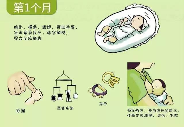 0-3岁各阶段发展特点