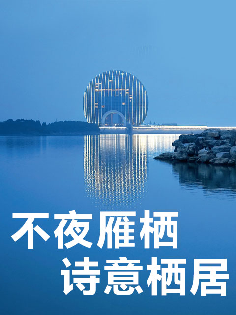不夜雁西湖