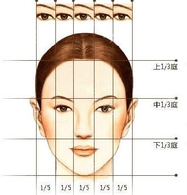 传说中测试美女标准的“三庭五眼”