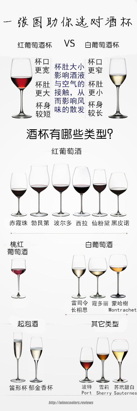 一张图助你选对酒杯