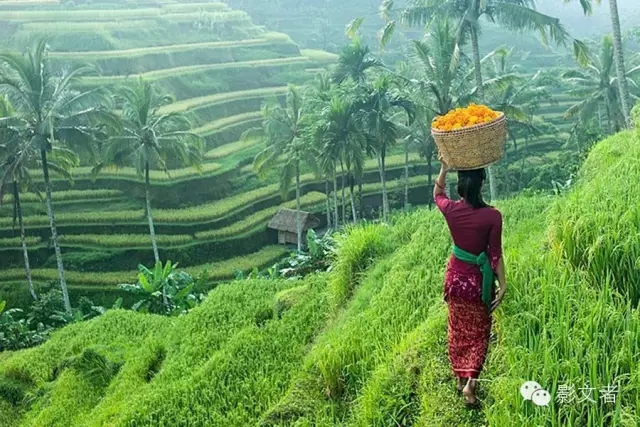 好莱坞电影中的亚洲七景