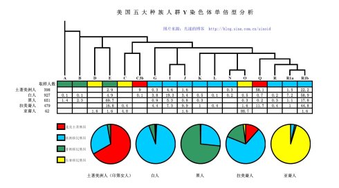 美国五大种族