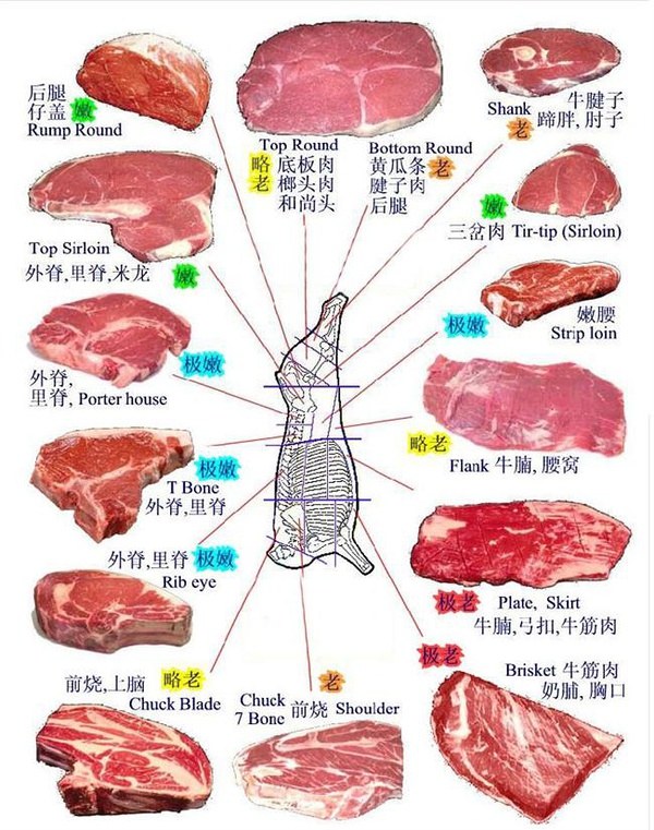 吃货必备
