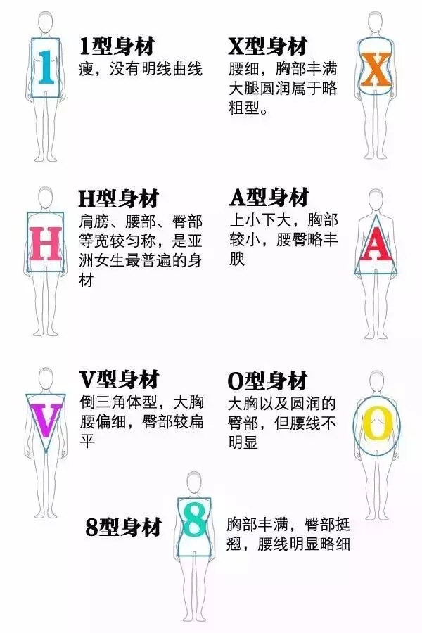 你知道自己是什么身型吗