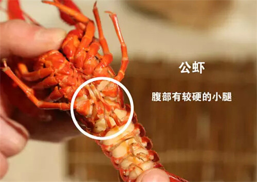 这十步教你正确地吃小龙虾
