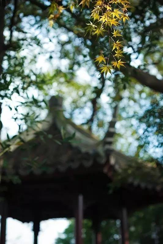这些美到极致爱情诗词