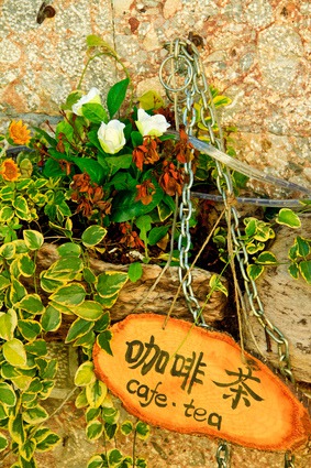 丽江 关于春天的五件事