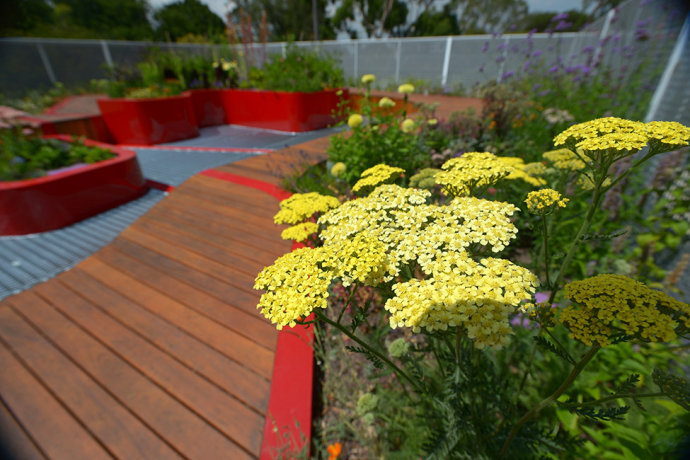墨爾本大學屋頂花園景觀