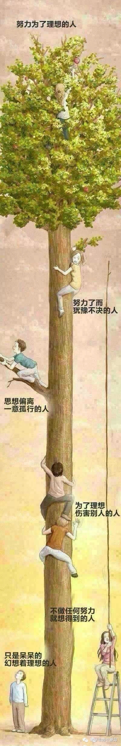  仅仅只有一张图，却一夜爆红！