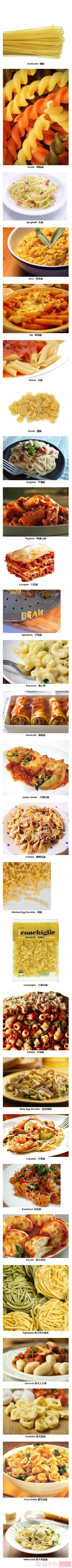 27种意大利面条的名称对照图