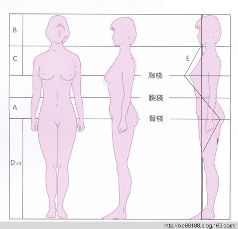 完美身材比例对照表
