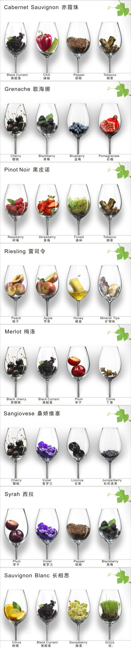 葡萄酒中的五十四种香气
