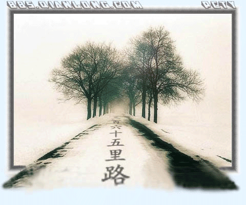 黑鸭子组合的《三百六十五里路》