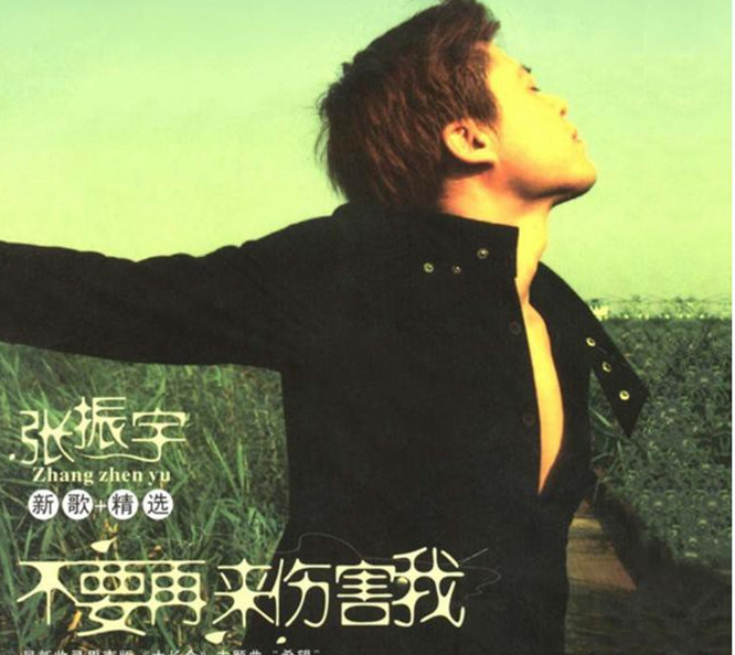 电视剧《情已逝》主题曲--不要再来伤害我（张振宇）