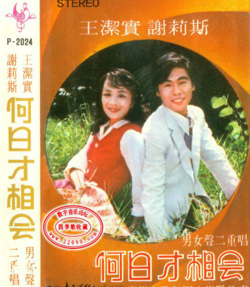 电视剧《何日彩云归》插曲--《何日才相会》王洁实 谢丽斯