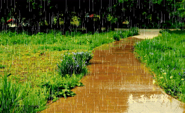 小提琴曲《下雨的时候》