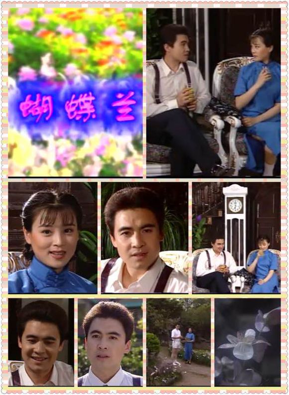 电视剧《蝴蝶兰》主题曲--《疼爱一次 挂念一世》（毛阿敏）