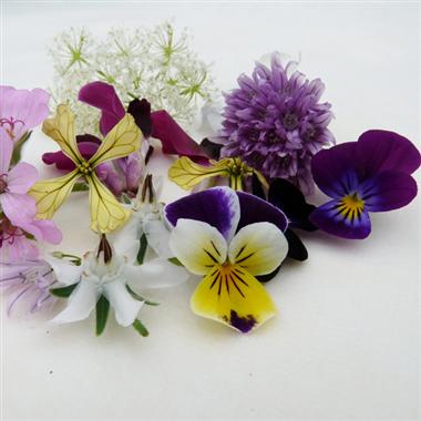合烹饪的园林花卉