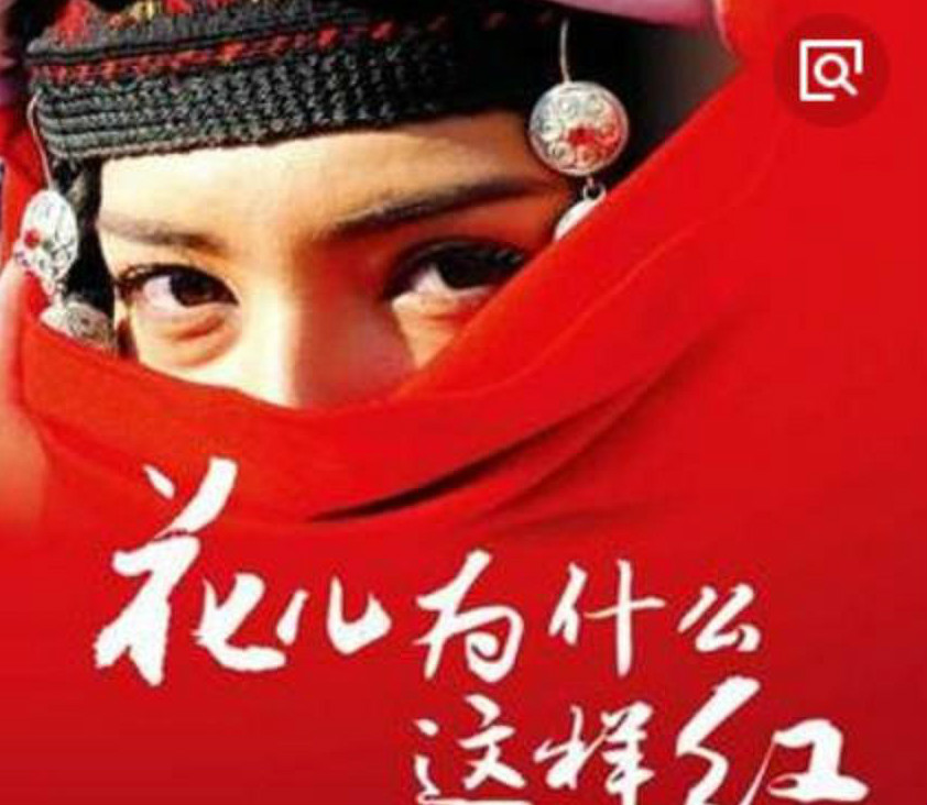 电影《冰山上的来客》插曲--《花儿为什么这样红》（吴影 于淑荣