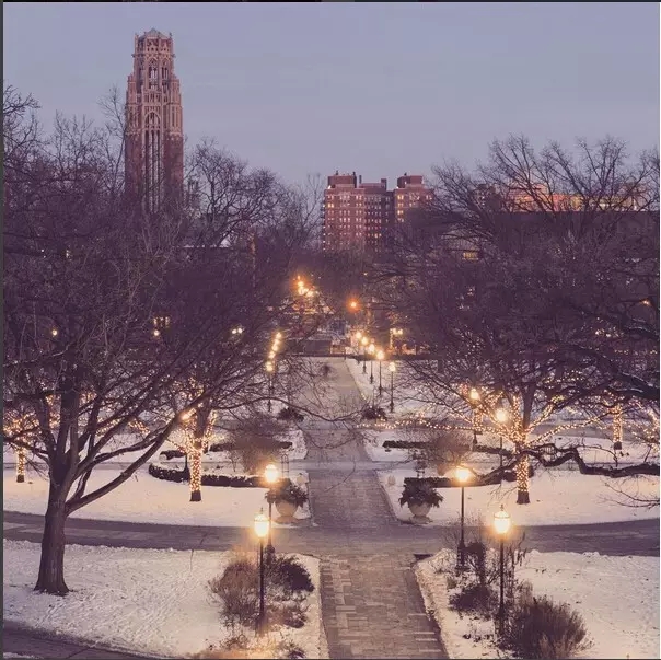 芝加哥大学