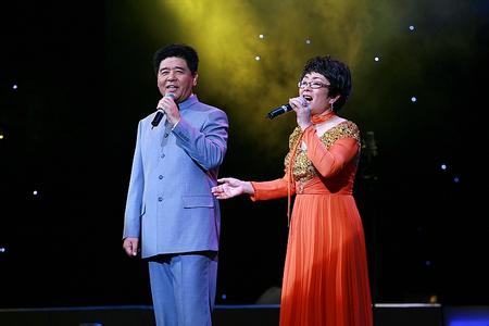 电视剧《鹊桥仙配》主题曲--《难诉相思》王结实 谢丽斯