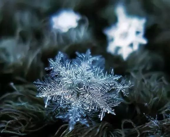诗人对雪的24种称谓