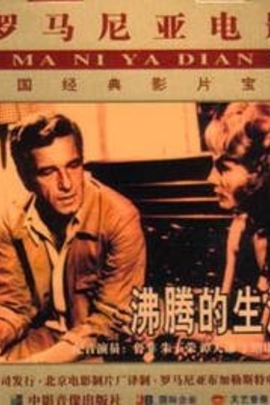 罗马尼亚《沸腾的生活》主题曲 Zile fierbinţi -