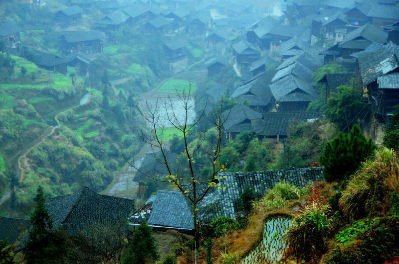 苗岭的早晨