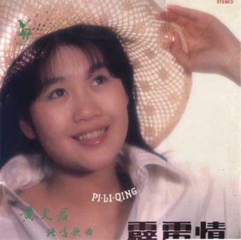 电影《霹雳情》插曲--永远有你的影子