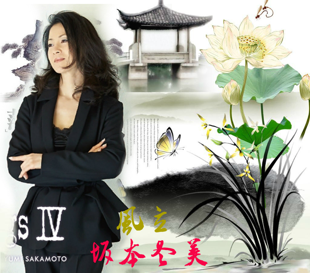 一首励志之歌《逆风而立》（坂本冬美）