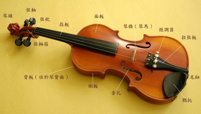小提琴的构成