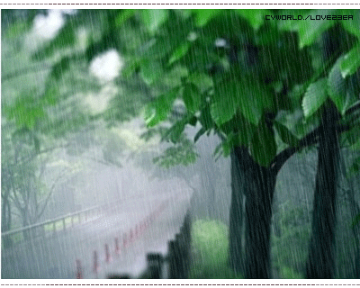 秋雨——张爱玲