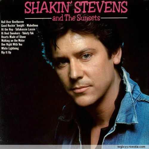 Shakins Stevens《Because I Love You》（因为我爱