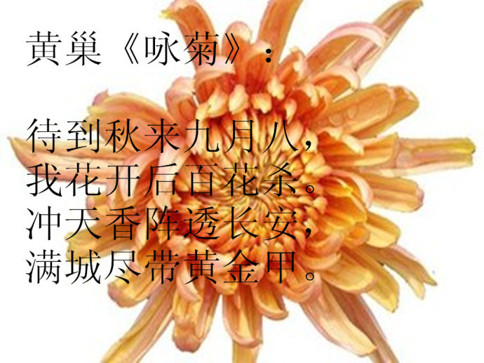 古代咏菊花诗词选