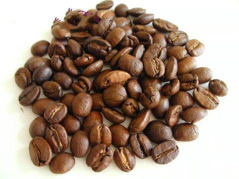 最昂贵的咖啡——鲁哇克（Kopiluwak Coffee）