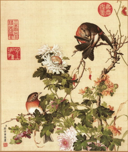 郎世宁《仙萼长春图册》赏析