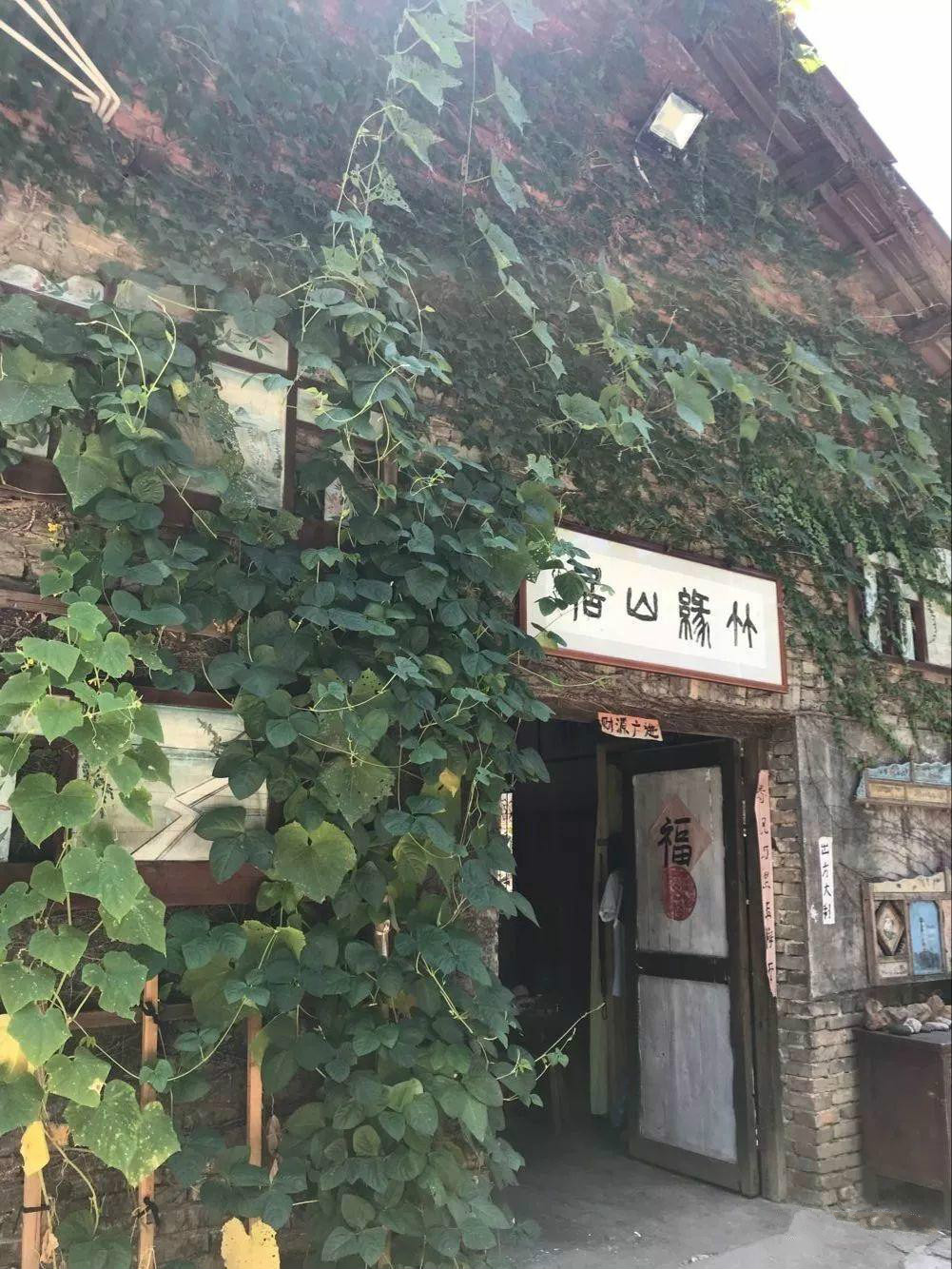 懂院子的人，一定懂生活