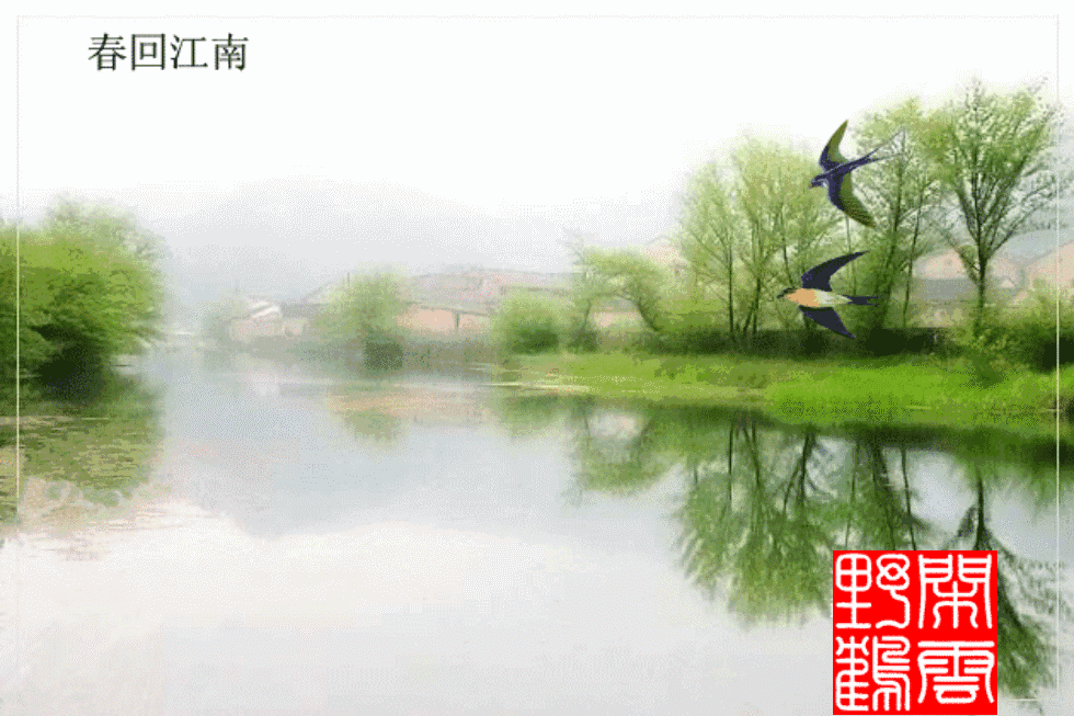 “子规”是什么意思？