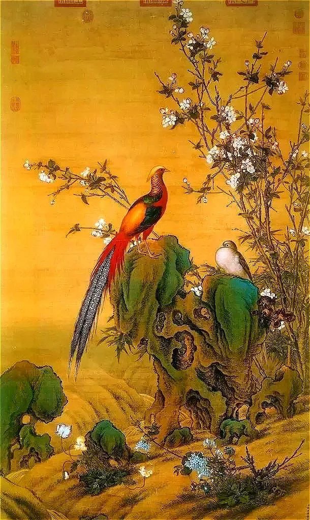 《清宫秘传鸟谱图》