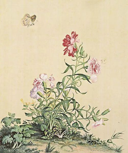 郎世宁的经典花鸟图