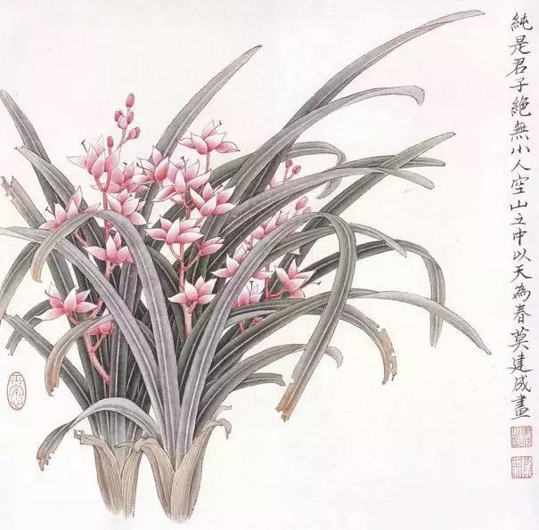 中国画 -- 兰花图