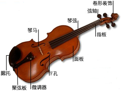 小提琴的收藏