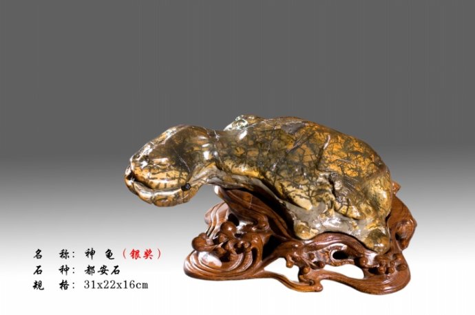 获奖奇石欣赏 （下）