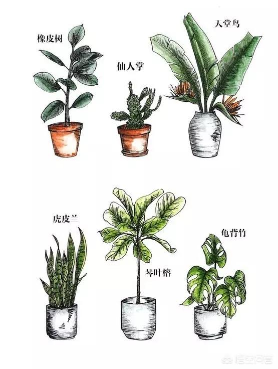八款提升家居格调的物品