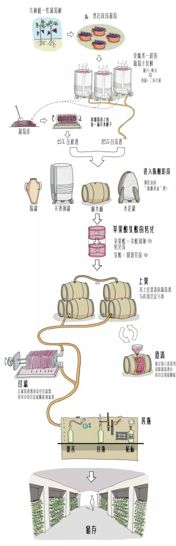 红葡萄酒是怎样酿成的