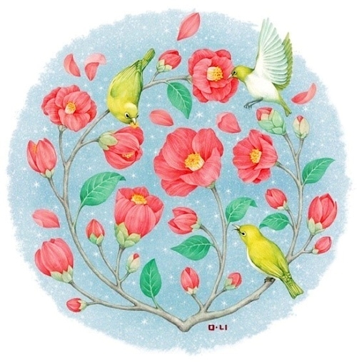 一组美丽的花草插画