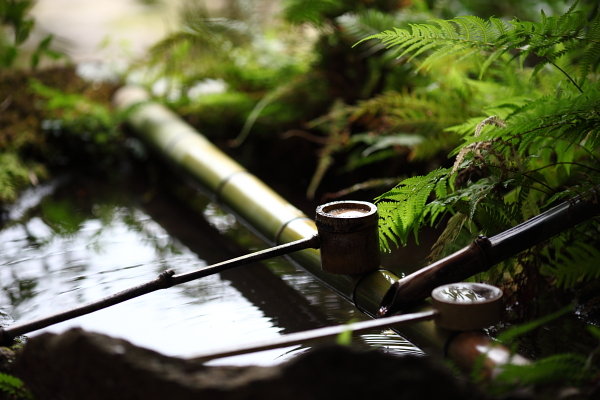 茶中寻味