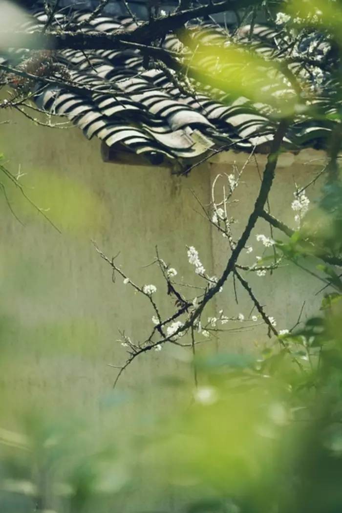 庭院深深