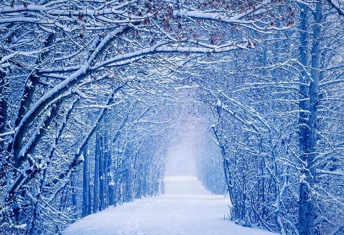 听雪 Listen to the snow--Mellowitch