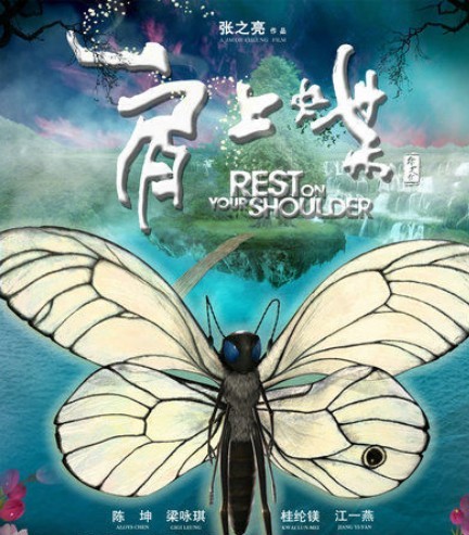 金志文 汤晓菲《肩上蝶》